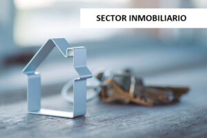 SECTOR INMOBILIARIO